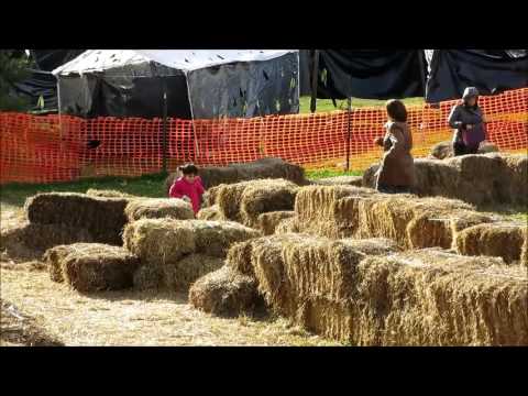 Hay Maze Race