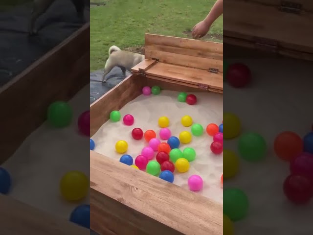 Vídeo relacionado con JOINPAYA Arenero para Niño y Niña de Plástico Rosa con Tapa Abatible, Caja de Almacenamiento Multifuncional para Juego al Aire Libre y Actividades en Casa