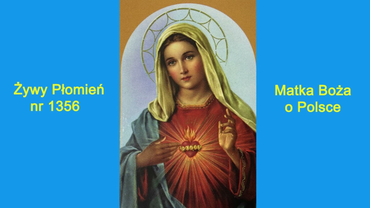 Przekaz nr 1356– Żywy Płomień