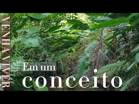 Thumbnail do Vídeo