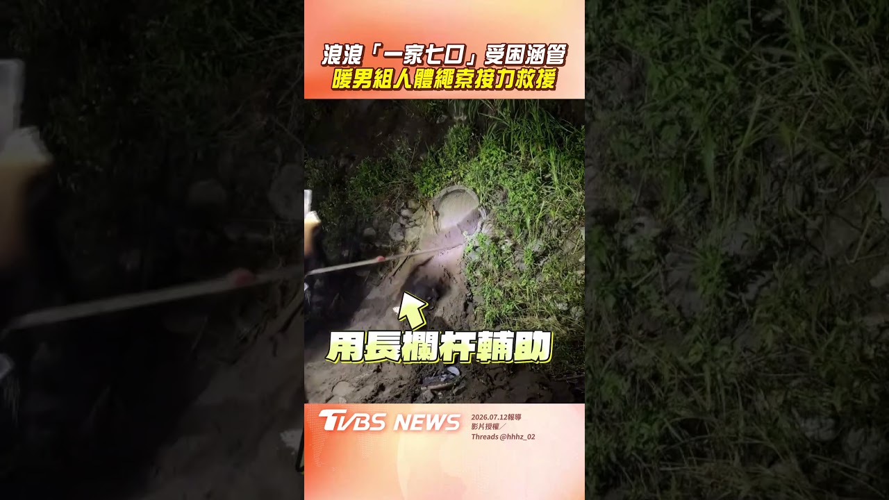 影音/「狗媽媽+6幼犬」颱風夜受困涵管! 暖男組「人體繩索接力」即刻救援