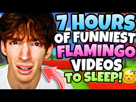 🌟7 HOURS🌟 Of Flamingo Roblox - Funniest Videos (Flamingo Marathon)