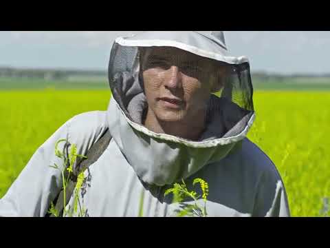 Beekeeping Equipment for Sale – Can Your Bees Live without These?