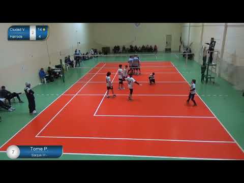 FMV 22 Sub 14 Ciudad vs Harrods (3-0)