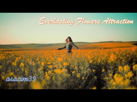 EVERLASTING FLOWERS | NICE ATTRACTION W/ CINEMATIC MOTIVATION