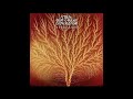 Van Der Graaf Generator - La Rossa [5.1 Surround Sound]