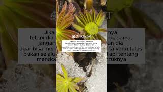 Download lagu Jika kamu jatuh cinta, jangan dikejar #quotes #motivation #ontataubat mp3