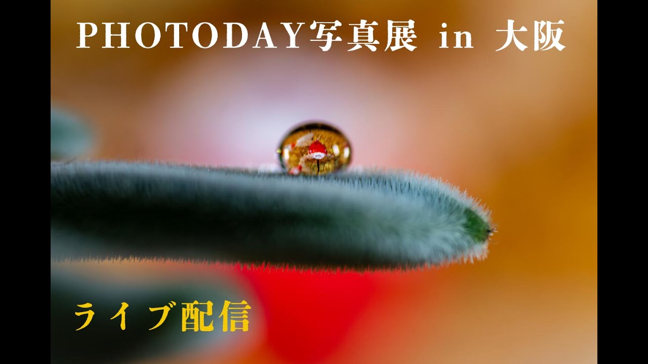 第8回PHOTODAYS写真展in大阪