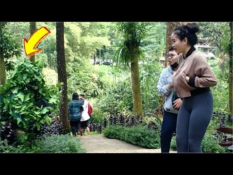 si-penunggu-pohon-besar-bushman-prank-jahil-prank-kocak-ngkak