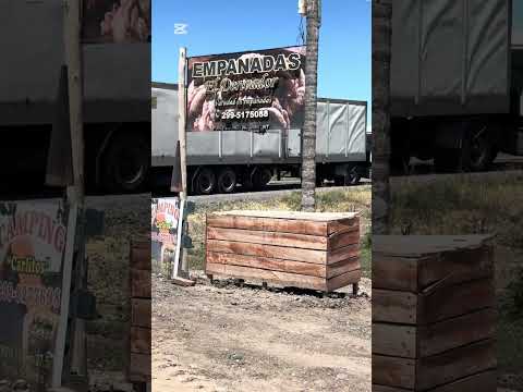 LA PAMPA -límite- DESDE 25 de mayo hacia Río Negro