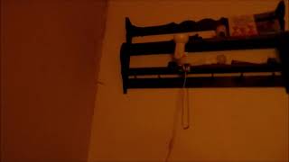 Video The Graves - VESELÁ