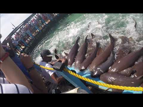 CARTAGENA NOV 23 2017