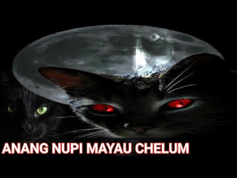 Anang Nupi Mayau Chelum!!!