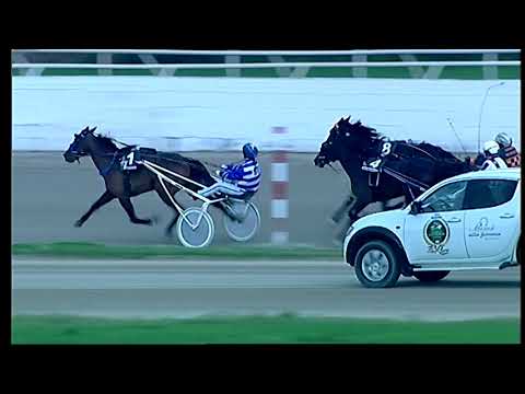 Trotto 01/12/2020 - 6ª corsa II TRIS