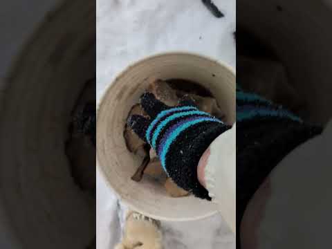 Blizzard in Dayton Ohio USA 