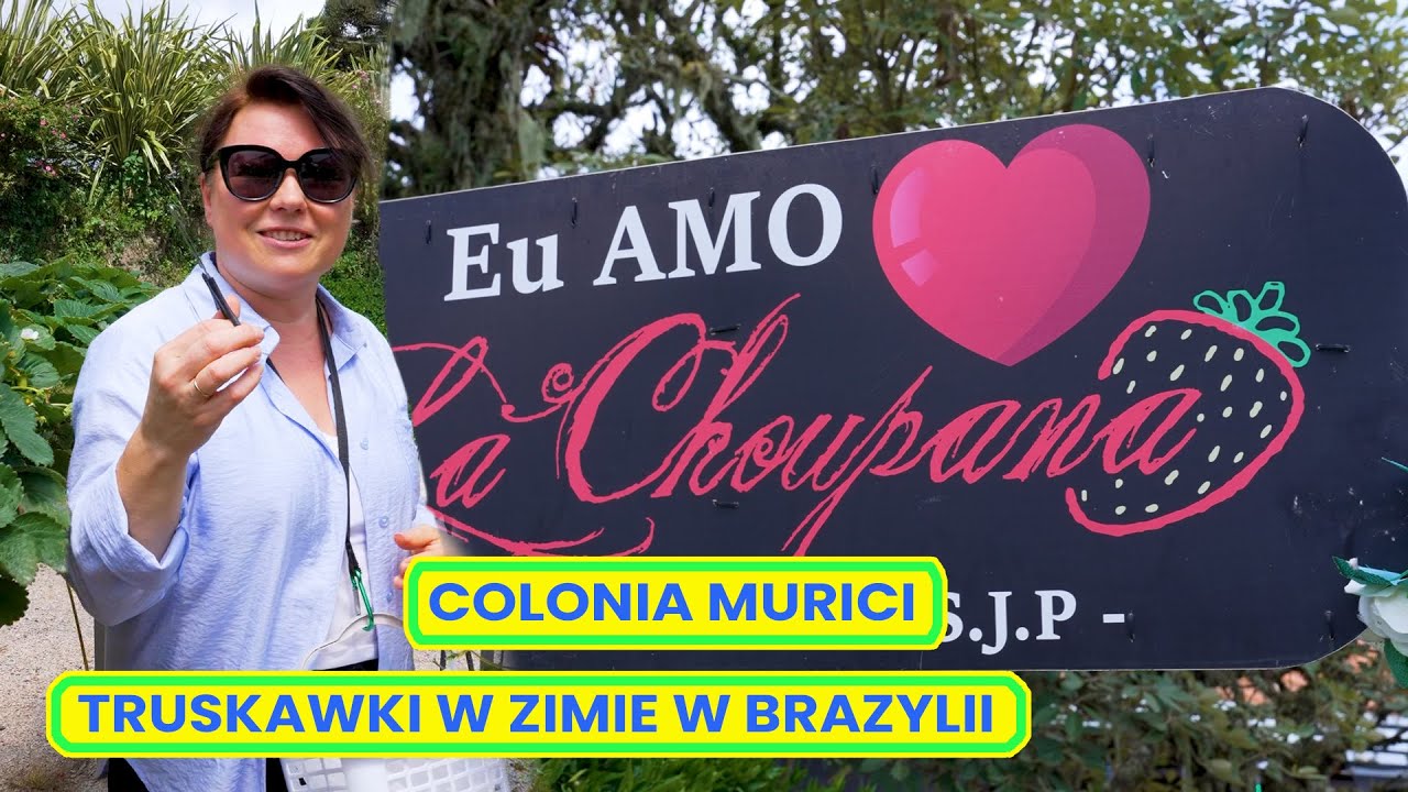 🍓 Brazylijskie truskawki w zimie – Colônia Murici 🌿 🍓 Brazylijskie truskawki w zimie – Colônia Murici 🌿