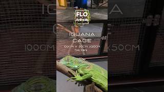 Download lagu kandang iguana mp3 Download lagu kandang iguana mp3