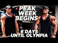 PEAK WEEK BEGINS... 6 DAYS OUT OLYMPIA SHOWDOWN #shoulderworkout #fitnesslifestyle #mensphysique