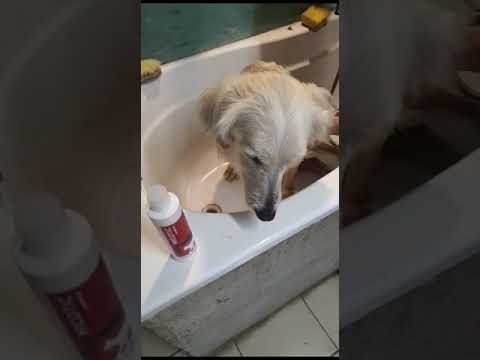 Video di MOIRA