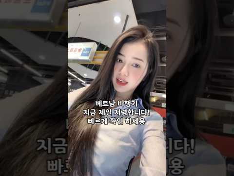 베트남 비행기 지금 제일 저렴합니다! #다낭 #다낭자유여행 #황제투어