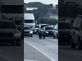 Bear stops traffic on Southern California freeway - Video