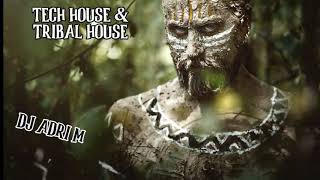 Download lagu Tech House & Tribal House Mix 2020 | DJ ADRI M #latintechhouse #techhouse #latinhouse mp3