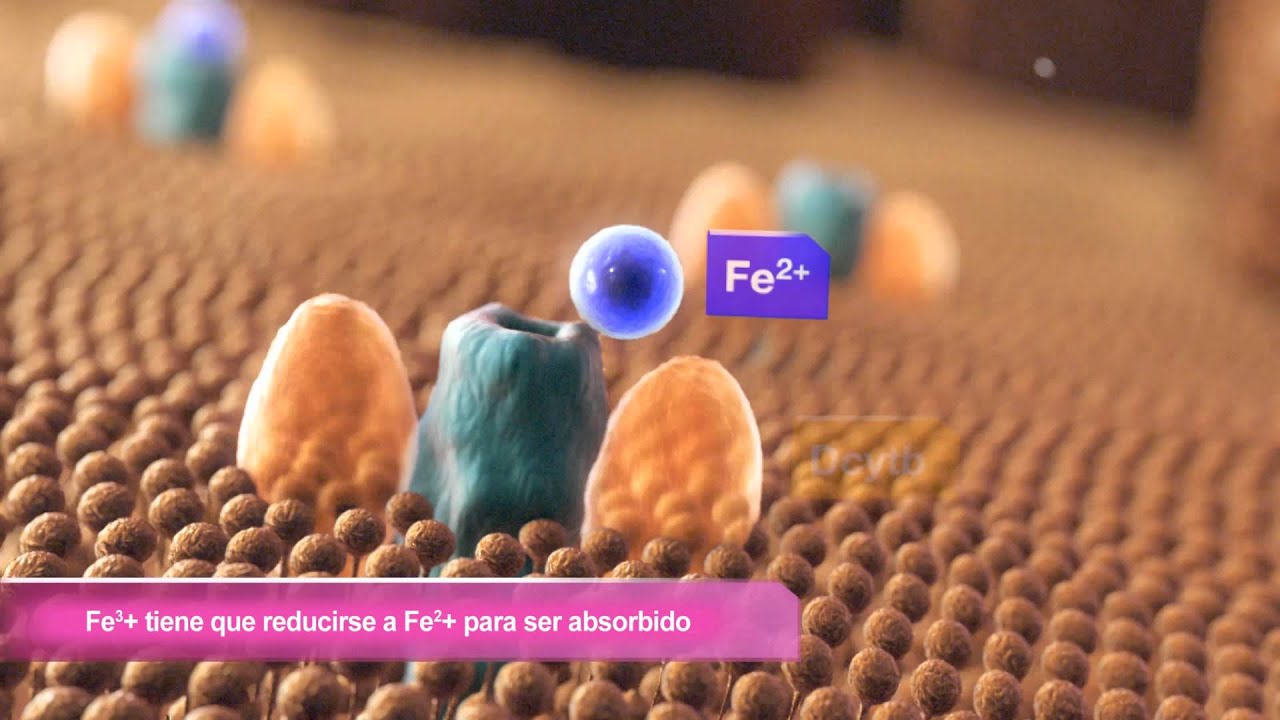 Gabriel Aceves Castillo-1