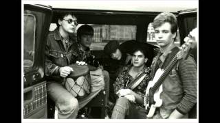 Edie Brickell &amp; New Bohemians - Picture Perfect Morning - Live at Trees 1991