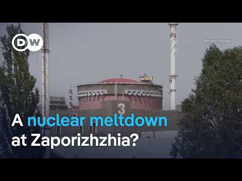Ukraine's Zaporizhzhia nuclear plant on emergency power as ...