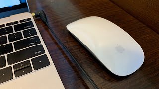 Apple Mouse Disconnecting All The Time (How To Fix It)