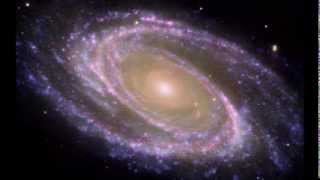 Moving Through Life by Jane Hamilton