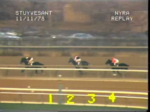 Seattle Slew - 1978 Stuyvesant Handicap