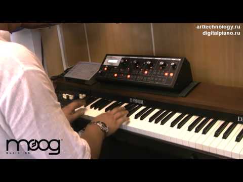 download lagu mp3 mp4 Moog Slim Phatty Presets, download mp3 Moog Slim Phatty Presets free download mp3, download mp3 Moog Slim Phatty Presets