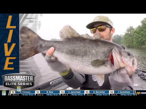 SANTEE COOPER: Palaniuk coaxes one on MEGA Live