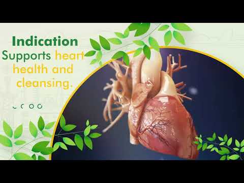 Streamline ayurvedic food supplement ayurvedic food suppleme...