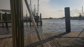 Day 3 pm Free Dock