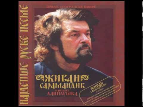 Živan Saramandić & Danilushka - Svjatit mesec (Official audio)