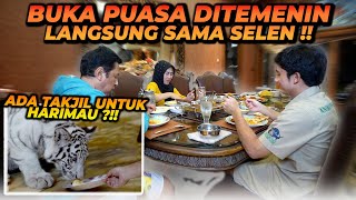 Download lagu BUKA PUASA DITEMENIN SELEN ! BANTUIN SIAPIN MAKAN BUAT BUKA PUASA ! SELEN PUNYA TAKJIL SENDIRI ?! mp3