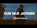 Hum Mar Jayenge [ slowed + reverb ] | Ashiqui 2 | Arijit singh | Tulsi Kumar | Lofi World |