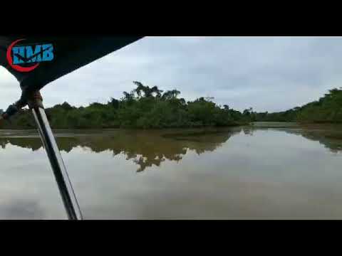 Minyak Tebal Penuhi Sungai