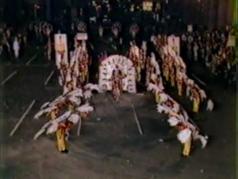 1983 Entertainers Fancy Brigade "Fantasy In 3D" - 15th Place