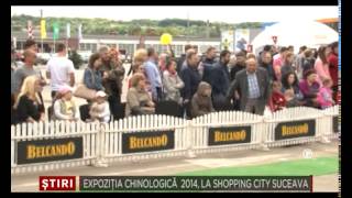 preview picture of video 'PUBLICITARA Expozitia Chinologica  2014 la Shopping City Suceava 20 Mai 2014'
