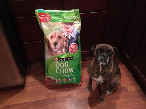 Purina Dog Chow Complete Review