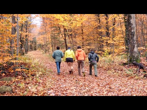 Middlebury - Our Lives at Middlebury