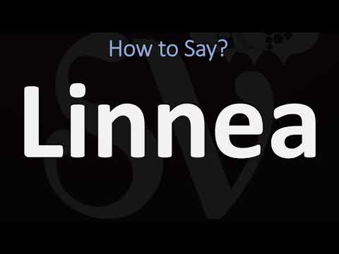 How to Pronounce Linnea? (CORRECTLY)