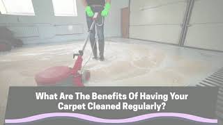 What Are the Benefits of Having Your Carpet Cleaned Regularly?