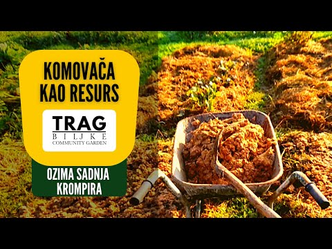 POMACE AS A RESOURCE - WINTER PLANTING OF POTATOES IN THE SPRING ZONE (2022) [TRACE OF THE PLANT]