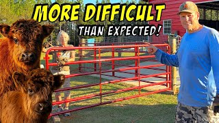 This SIMPLE Farm Gate Install Nearly Broke Us!