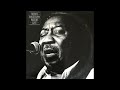 Muddy Waters - Nine Below Zero