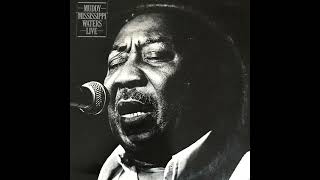 Muddy Waters - Nine Below Zero